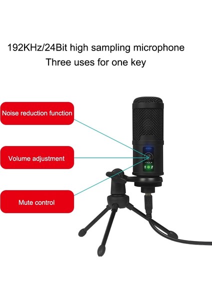 Bm-65 Kalp Şekleli Işaretli USB Kondenser Mikrofon Seti (Yurt Dışından)