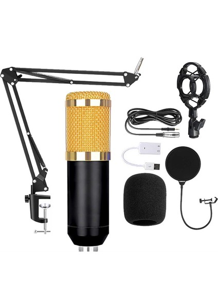 USB Ses Kartı ile BM800 Kondenser Mikrofon Siyah ve Altın Ağ (Yurt Dışından)