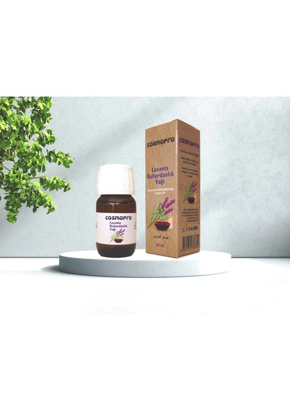 Lavanta Buhurdanlık Yağı 20ML - Esansiyel Uçucu Yağ / Aroma Terapi Yağı / Ortam Kokusu