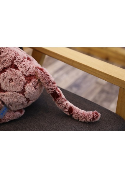 1 Adet 50 cm Peluş Oyuncak Yumuşak Kedi Siyah Gri Kedi Peluş Oyuncaklar Yurt Dışından)