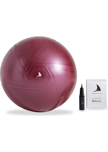 - Premium Pilates Topu ve Pompa Seti Denge Aerobik Yoga Fitness Topu