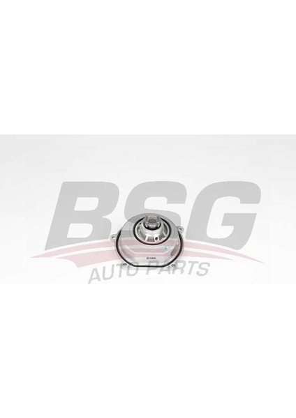 Bsg 15-500-032 Devirdaim 15500032 (WH363999)