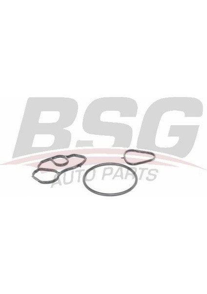 70-116-001 Yag Filtresi Conta Takimi 70116001 (WR385344)