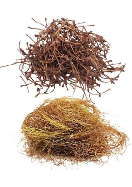 Kiraz Sapı 50 gr + Mısır Püskülü 50 gr 2'li Set