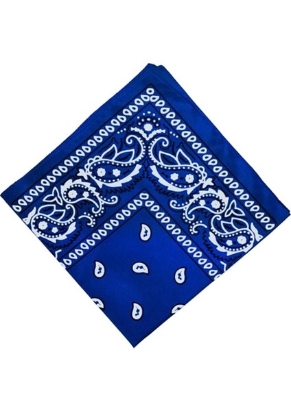 Paisley Baskı Bandana Kafa Boyun Saç Bandı (Yurt Dışından) modelleri