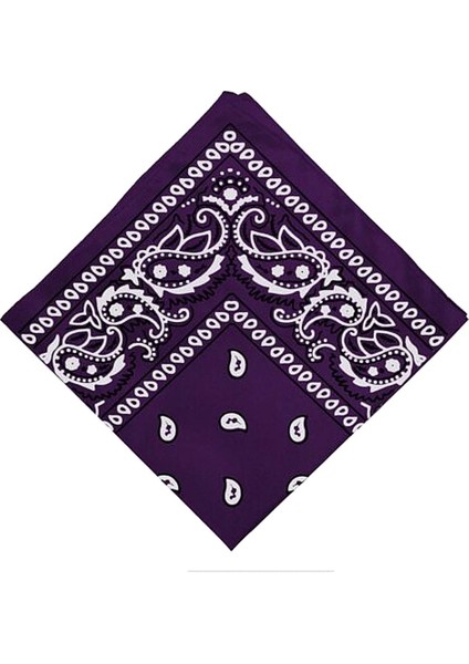 Paisley Baskı Bandana Kafa Boyun Saç Bandı (Yurt Dışından)