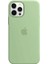 Apple iPhone 11 Pro Uyumlu Logolu Içi Kadife Altı Açık Lansman Yeşil Silikon Kılıf 1