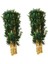 24 Adet Yapay Bambu Çubukları 2 Bağ Orijinal Bitkili Bamboo 2