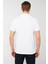Tomms Erkek Polo Yaka Slim Fit Tshirt WPT-0109 4