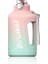 3800ML Büyük Kapasiteli Gradyan Saman Fincan Pembesi (Yurt Dışından) 1