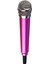 Taşınabilir Mini Vokal Enstrüman Karaoke Mikrofon Hoparlör Makinesi Vokal Kayıt Gül Altın (Yurt Dışından) 1
