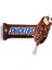 Snickers Stick 91 ml 1