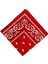 Paisley Baskı Bandana Kafa Boyun Saç Bandı (Yurt Dışından) 3