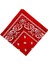 Paisley Baskı Bandana Kafa Boyun Saç Bandı (Yurt Dışından) 4