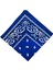 Paisley Baskı Bandana Kafa Boyun Saç Bandı (Yurt Dışından) 2