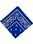 Paisley Baskı Bandana Kafa Boyun Saç Bandı (Yurt Dışından) 3
