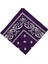 Paisley Baskı Bandana Kafa Boyun Saç Bandı (Yurt Dışından) 2