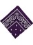 Paisley Baskı Bandana Kafa Boyun Saç Bandı (Yurt Dışından) 3