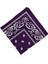 Paisley Baskı Bandana Kafa Boyun Saç Bandı (Yurt Dışından) 5