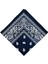 Paisley Baskı Bandana Kafa Boyun Saç Bandı (Yurt Dışından) 1