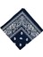 Paisley Baskı Bandana Kafa Boyun Saç Bandı (Yurt Dışından) 3