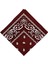 Paisley Baskı Bandana Kafa Boyun Saç Bandı (Yurt Dışından) 1
