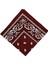 Paisley Baskı Bandana Kafa Boyun Saç Bandı (Yurt Dışından) 2