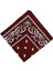 Paisley Baskı Bandana Kafa Boyun Saç Bandı (Yurt Dışından) 3