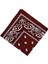 Paisley Baskı Bandana Kafa Boyun Saç Bandı (Yurt Dışından) 4