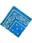 Paisley Baskı Bandana Kafa Boyun Saç Bandı (Yurt Dışından) 4