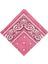 Paisley Baskı Bandana Kafa Boyun Saç Bandı (Yurt Dışından) 1