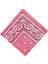 Paisley Baskı Bandana Kafa Boyun Saç Bandı (Yurt Dışından) 2