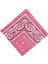 Paisley Baskı Bandana Kafa Boyun Saç Bandı (Yurt Dışından) 3