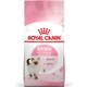 Royal Canin Fhn Kitten 36 Yavru Kedi Maması 4 Kg