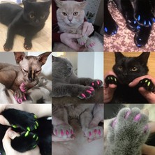 ZHKJ Shop 20 Pc Silikon Yumuşak Kedi Tırnak Kapakları, BoyutXs (Kırmızı) (Yurt Dışından)