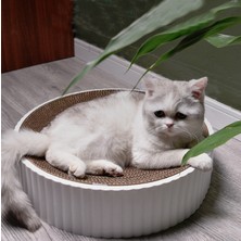 ZHKJ Shop Cat Claw Grinder Oluklu Kedi Kanepe Koruma Kitty Malzemeleri, StilCat Paw Board (Yurt Dışından)