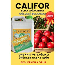 Gülleci Bulamacı-Kaliforniya Bulamacı 5LT