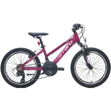Carraro Force 201 V 20 Jant 21 Vites Çocuk Bisikleti Mat Mürdüm-Pembe