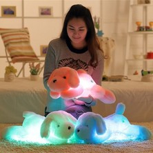 Universal 50 cm Algılama Anahtarı Renkli Aydınlık LED Işık Peluş Yastık Yastık Çocuk Oyuncakları (Pembe) (Yurt Dışından)