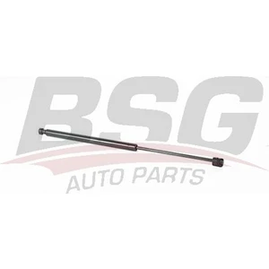 Bsg 40-980-026 Bagaj Amortisoru 40980026 (WK911781)