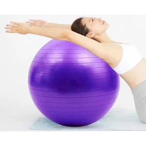 Pilates Topu 65 cm ( Mor ) + Pompa