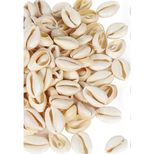 Flea Market Doğal Deniz Kabuğu ( 20 Adet ) - Cyprea