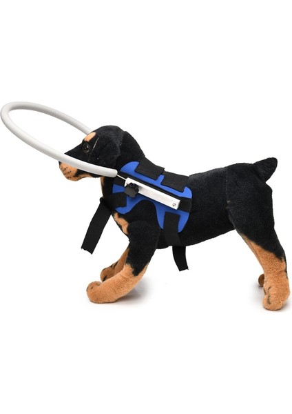 Köpek Lüğü Çarpışma Karşıtı Yüzük, Özelliklers (Mavi) (Yurt Dışından)