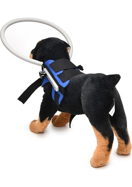 Köpek Lüğü Çarpışma Karşıtı Yüzük, Özelliklers (Mavi) (Yurt Dışından) modelleri