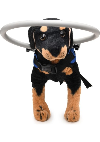 Köpek Lüğü Çarpışma Karşıtı Yüzük, Özelliklers (Mavi) (Yurt Dışından) fırsatları