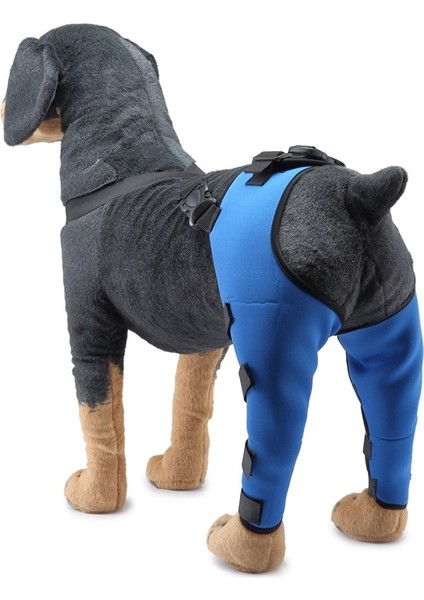 Evcil Köpek Bacak Diz Koruyucusu Ameliyat Yaralanması Koruyucu Kapak, BoyutL (Mavi) (Yurt Dışından)