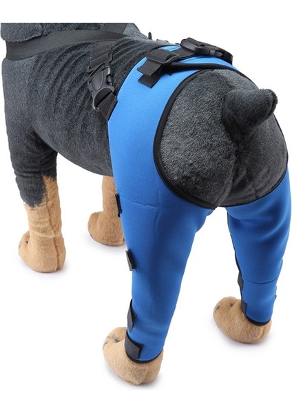 Evcil Köpek Bacak Diz Koruyucusu Ameliyat Yaralanması Koruyucu Kapak, BoyutL (Mavi) (Yurt Dışından) fırsatları