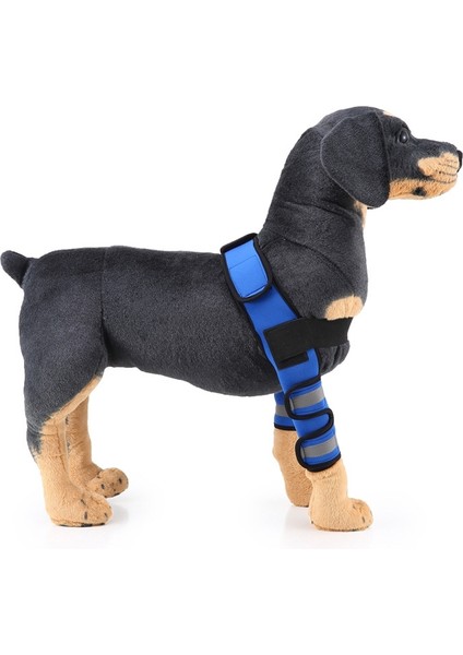 Pet Köpek Bacak Diz Koruma Ameliyatı Yaralanması Koruyucu Kapak, BoyutM (Anti-Anti-Model (Mavi)) (Yurt Dışından) fiyatları