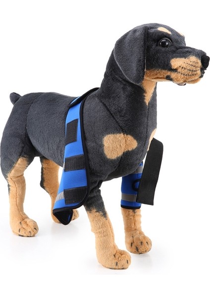 Pet Köpek Bacak Diz Koruma Ameliyatı Yaralanması Koruyucu Kapak, BoyutM (Anti-Anti-Model (Mavi)) (Yurt Dışından) modelleri