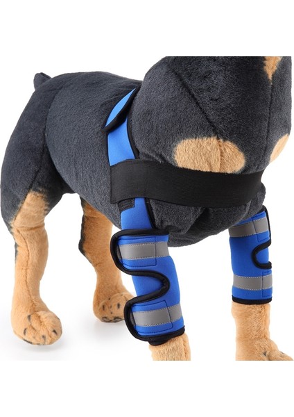 Pet Köpek Bacak Diz Koruma Ameliyatı Yaralanması Koruyucu Kapak, BoyutM (Anti-Anti-Model (Mavi)) (Yurt Dışından) fırsatları